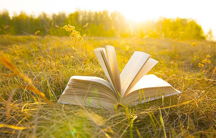 Discussies over nieuwe kerndoelen op de Dag van het Literatuuronderwijs 2024